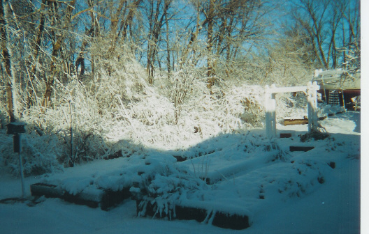 Winter Herb Garden.jpg